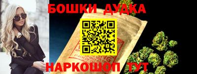СК Дубна