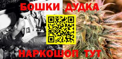 СК Дубна