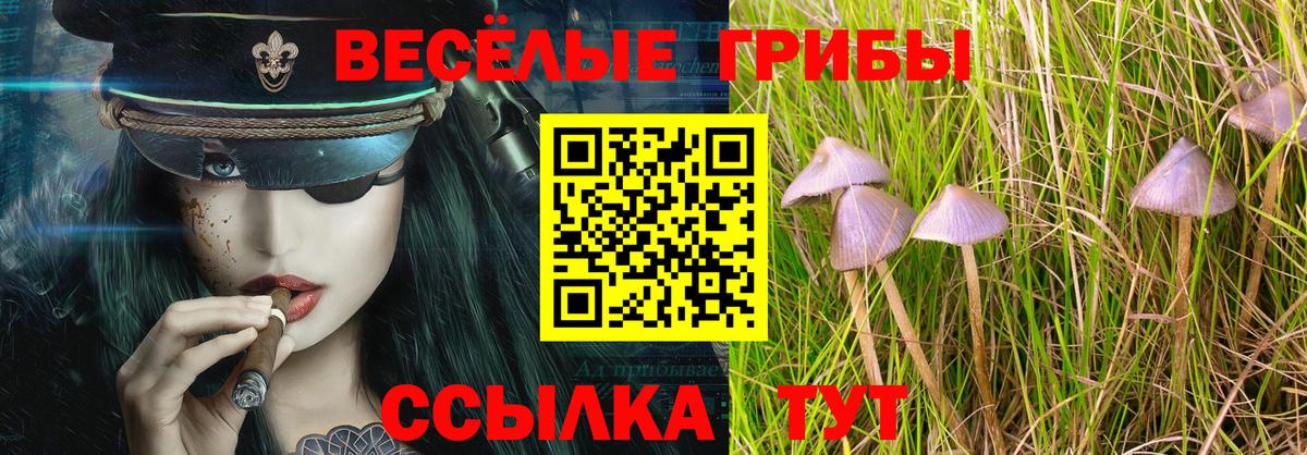 Галлюциногенные грибы Cubensis Петровск