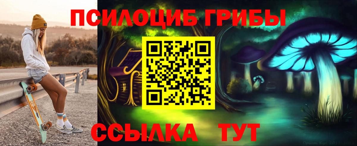 Галлюциногенные грибы мицелий  Вход с VPN  где найти   Галлюциногенные грибы Cubensis  Петровск 